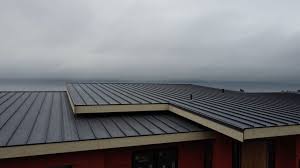 Fast & Reliable Emergency Roof Repairs in Lakeview, OH